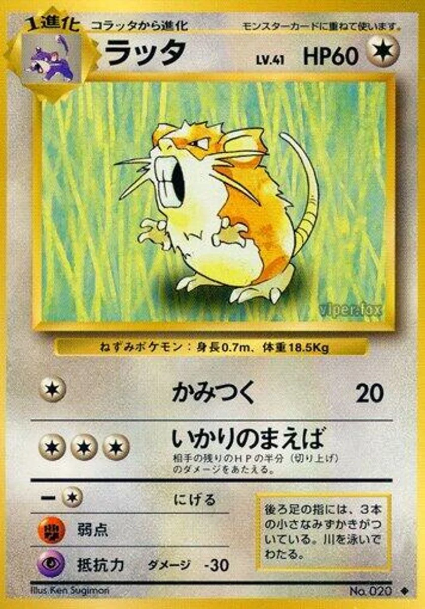 Raticate 「EXPANSION_PACK No. 062」「JP」